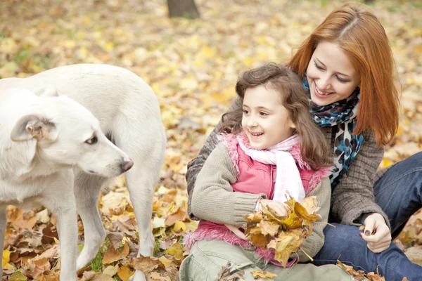 Duas irmãs sentadas nas folhas do parque e olhando para o cão . — Fotografia de Stock