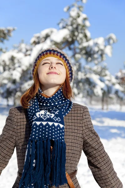 Vacker Ung Rödhårig Kvinna Vinterparken — Stockfoto