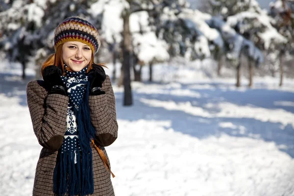 Hermosa joven pelirroja en el parque de invierno —  Fotos de Stock