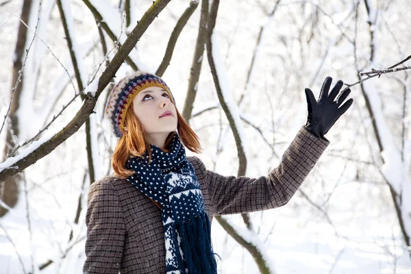 Bella giovane donna dai capelli rossi nel parco invernale — Foto Stock