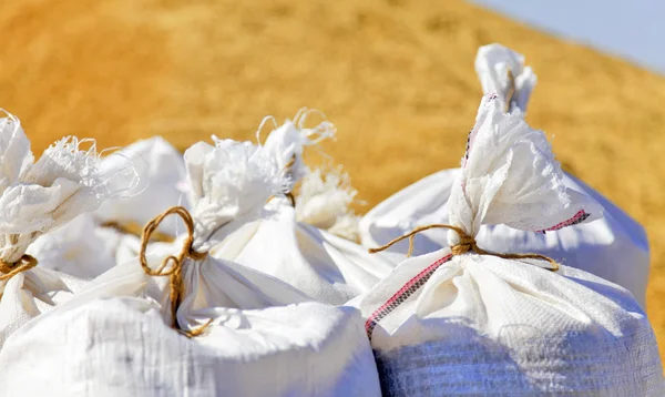 stock image Sacks with wheat harvest and yellow hweat at background.