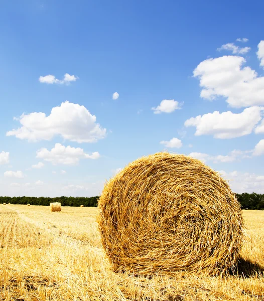 Stro balen in een veld met blauwe hemel — Stockfoto