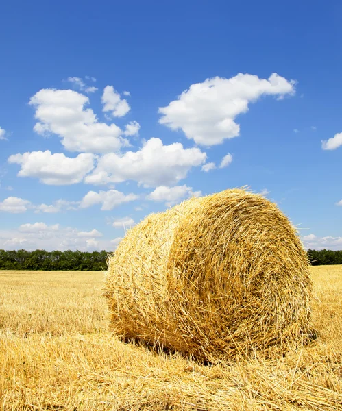 Palha fardos em um campo com céu azul — Fotografia de Stock