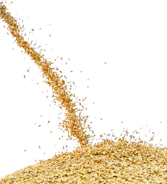 Wheat dropping on hill — Stock Photo, Image