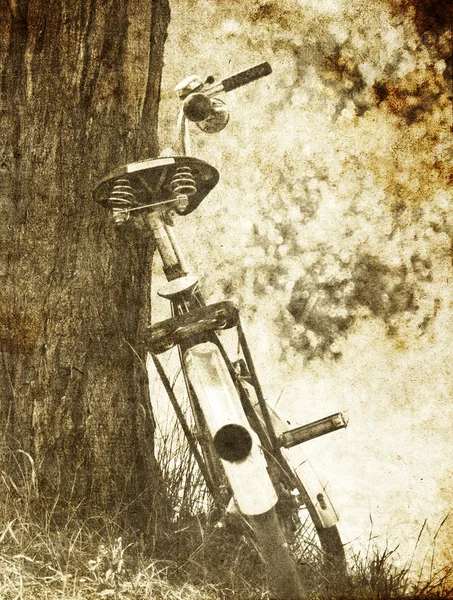 Fahrrad in Baumnähe. Foto im alten Bildstil. — Stockfoto
