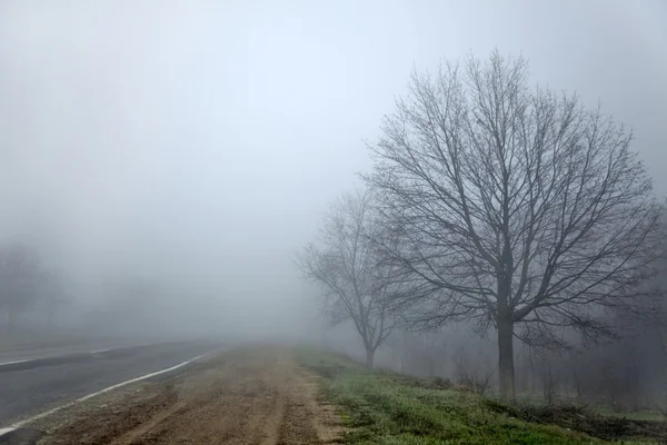 Ukrainian road in fog time. — Stock Photo, Image