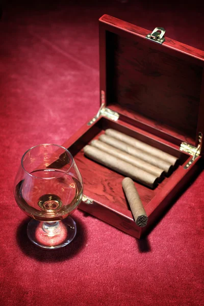雪茄 — 图库照片