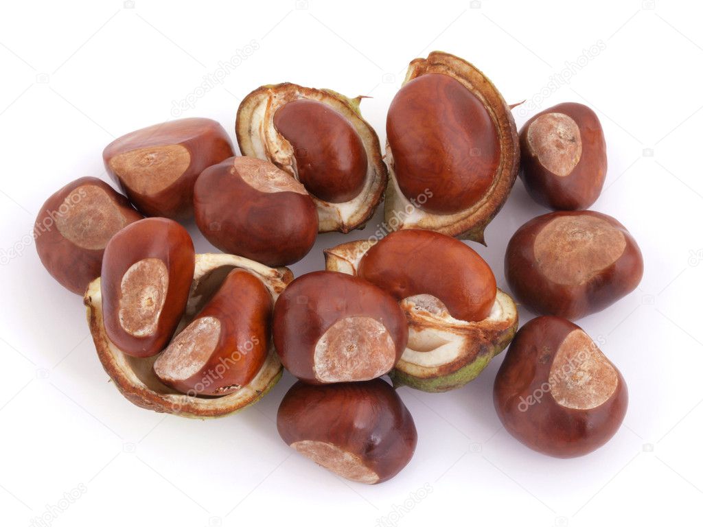 Horse Chesnut Or Conker Stock Photo Image By C Ianlangley