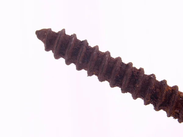Old rusty screw. — Stock Photo, Image