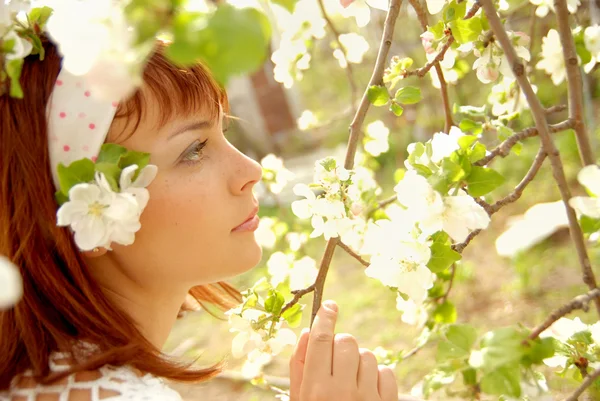 In apple blossoms — Stock Photo, Image