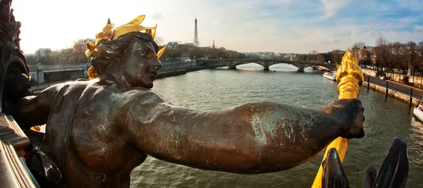 Дробни Александра 3 моста - Париж — стоковое фото