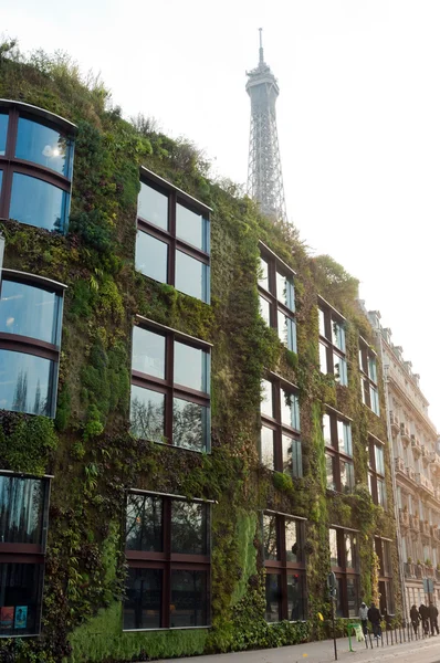 パリ ・ ブランリ美術館に植物性の壁 — ストック写真