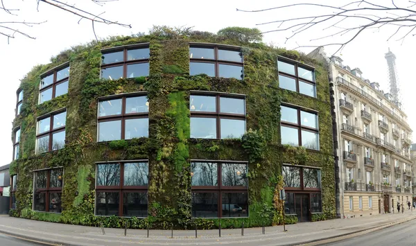 Vegetal wall on Branly museum in Paris — Stock Photo, Image