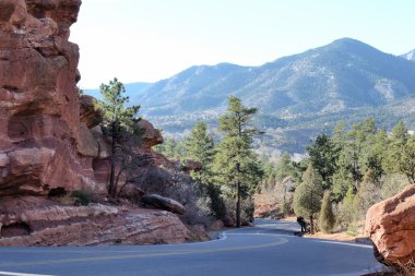 Tanrıların Bahçesi