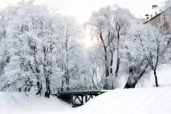 stock image Winter landscape