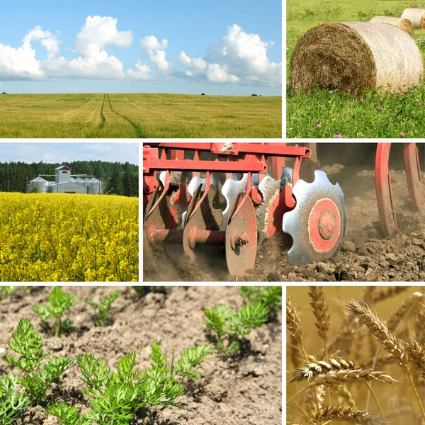 Collage agrícola — Foto de Stock