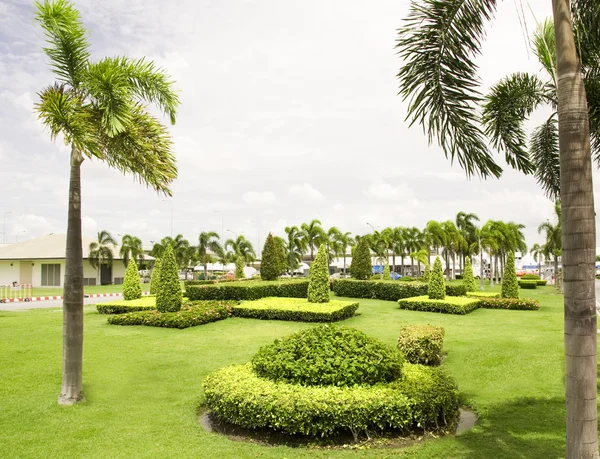 Tropisk trädgård i bangkok, thailand — Stockfoto