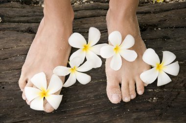 kadın bacaklar ile çiçekler plumeria alba Tayland