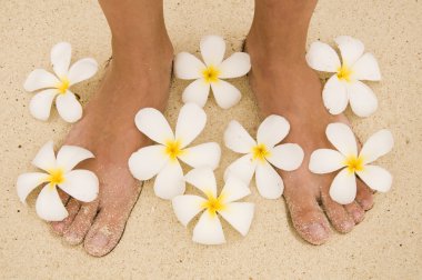 kadın bacaklar ile çiçekler plumeria alba Tayland