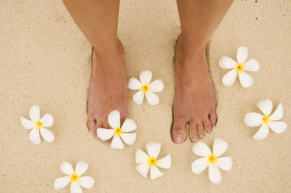 stock image Woman legs with flowers Plumeria alba on Thailand