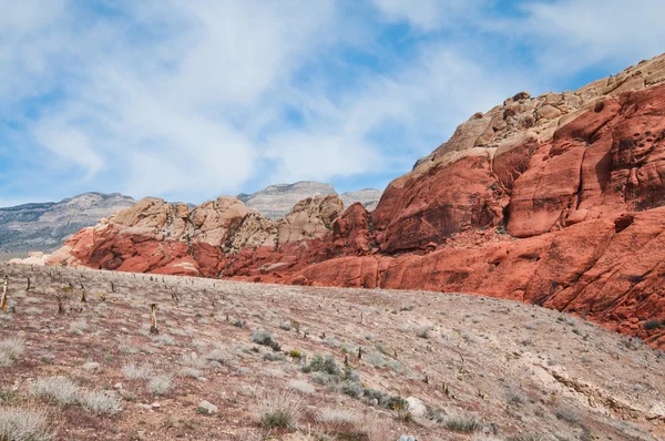 Rode Rots Canyon — Stockfoto