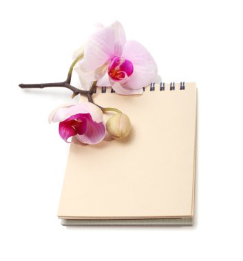 Orchid flower with notepad clipart