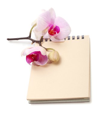 Orchid flower and notepad clipart