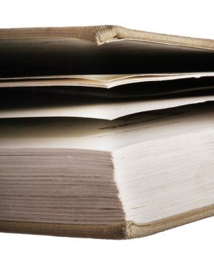 Kamille bloem in groene gras