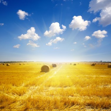 Haystack on the meadow in summer clipart