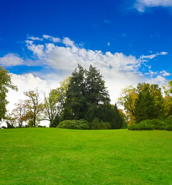 stock image Park landscape