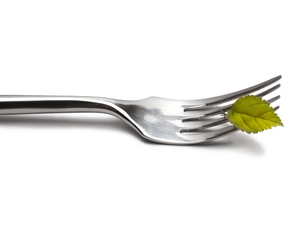 Fork with leaf — Stock Photo, Image