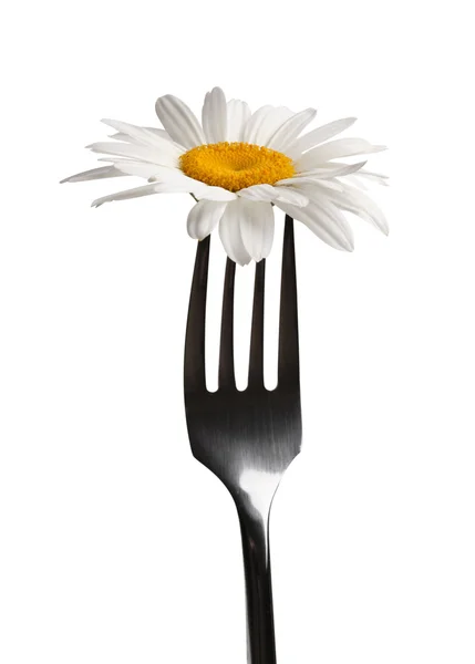Fork with chamomile flower — Stock Photo, Image