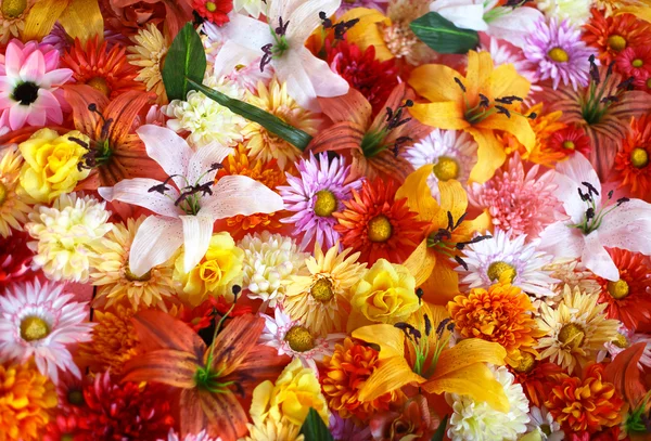 Virágot háttér — Stock Fotó