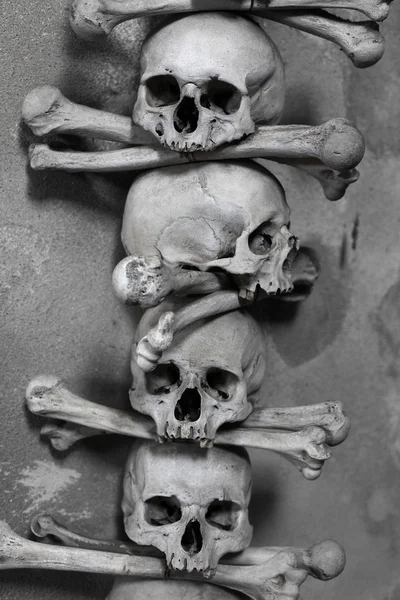 Skull and bones — Stock Photo, Image