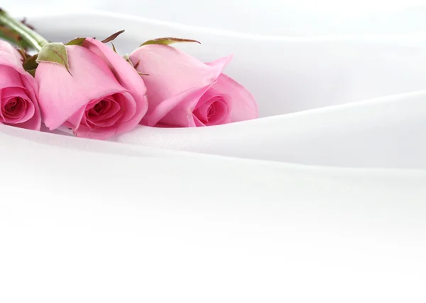 Cartão macio com rosas — Fotografia de Stock