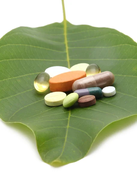 Gomba leves비타민, 정제 및 녹색 잎에 약 — 스톡 사진