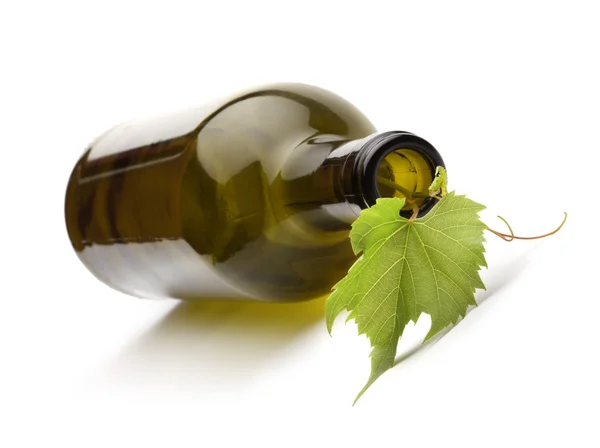 Бутылка вина и виноградная лоза — стоковое фото