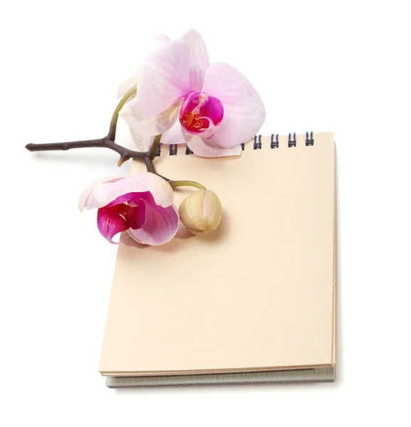 Flor de orquídea e bloco de notas — Fotografia de Stock