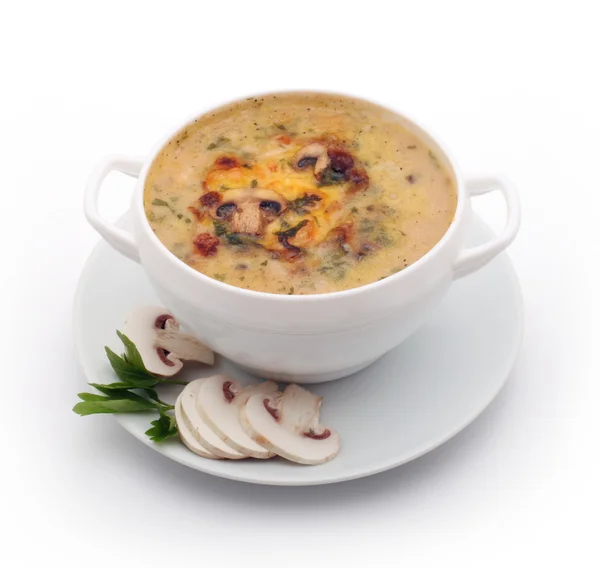 Zupa z grzybów — Zdjęcie stockowe