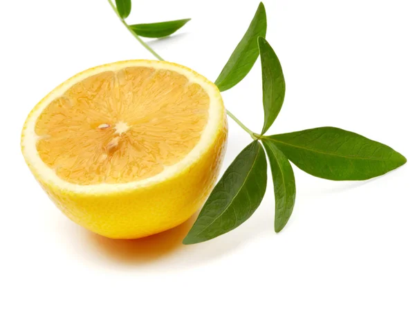 Лимон і листя — стокове фото