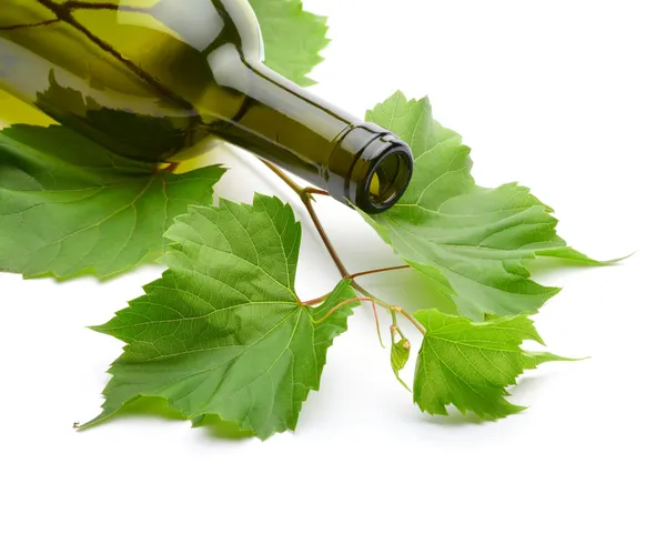 Fles wijn en groene wijnstok — Stockfoto