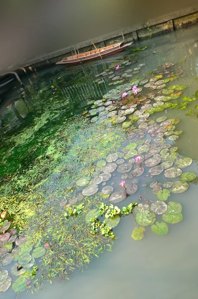 Teich mit Lilienblüte — Stockfoto