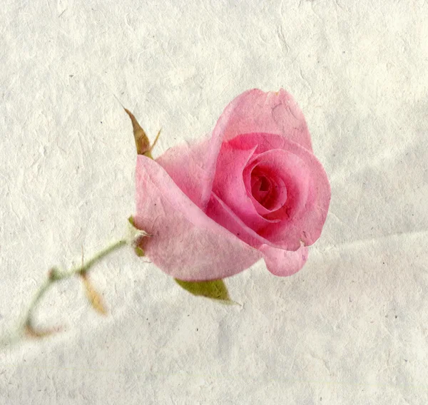 有玫瑰的老式贺卡 — 图库照片