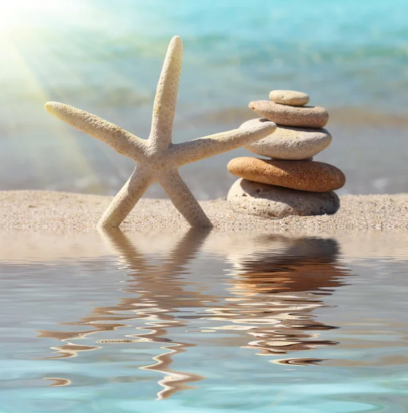 Deniz yıldızı ve taşlar — Stok fotoğraf