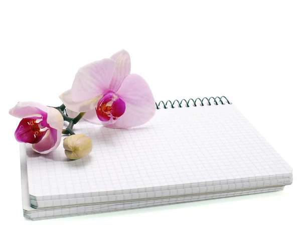 Ορχιδέα λουλούδι και σημειωματάριο — Φωτογραφία Αρχείου