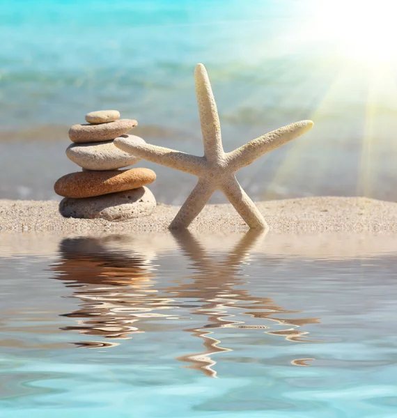 Deniz yıldızı ve taşlar — Stok fotoğraf