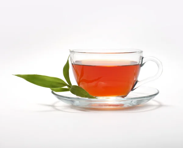 Tasse mit Tee — Stockfoto