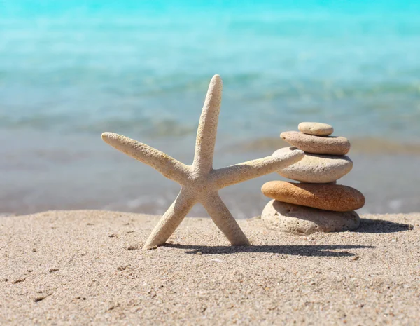 Estrella de mar y piedras — Foto de Stock