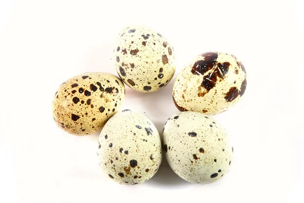 Яйца перепела изолированы на белом — стоковое фото
