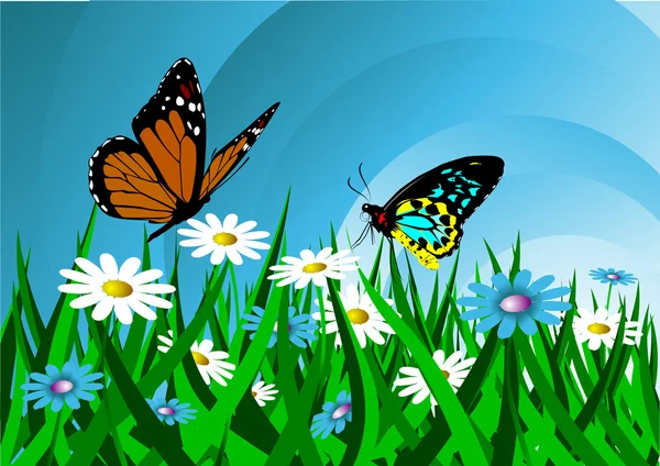 Motýl a květiny — Stock fotografie